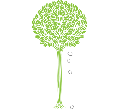 about-icon2-1-1
